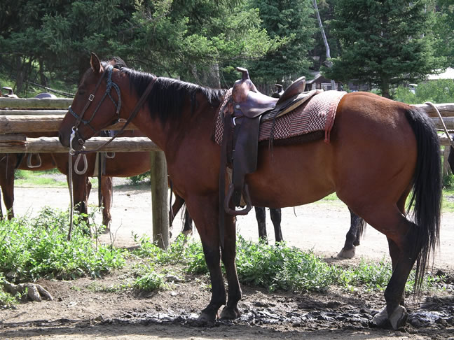 images/Cookout trip (9).jpg